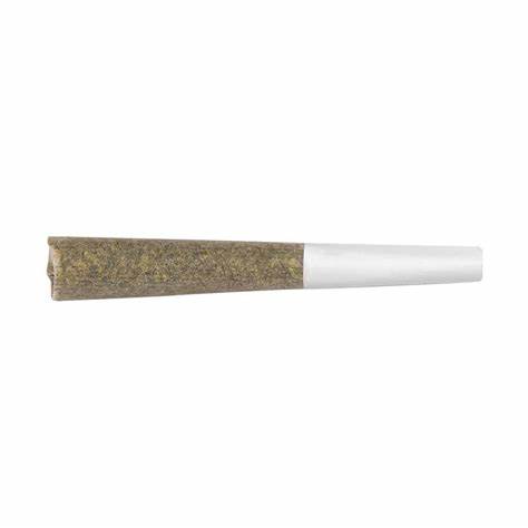 Professor Bluntstache | Dogwalker Prerolls