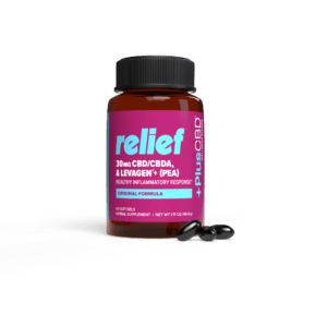 +PlusCBD | CBD + CBDA Relief Softgels